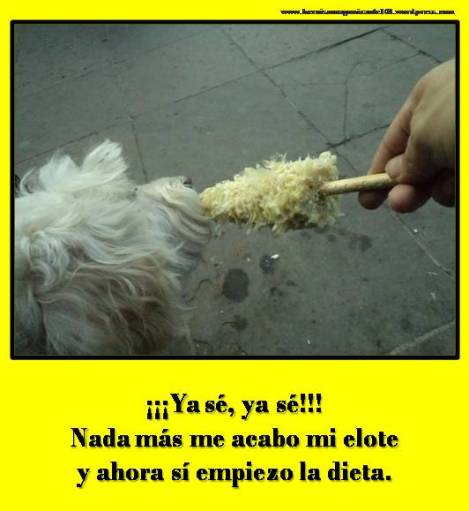 Propósitos de Año Nuevo