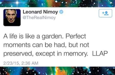 FB_IMG_1425095182432.jpg image