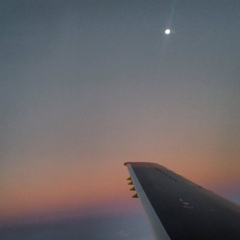 11117394_10153226840395900_316086781_n