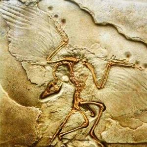 11896964_10153508900520900_827959858_n