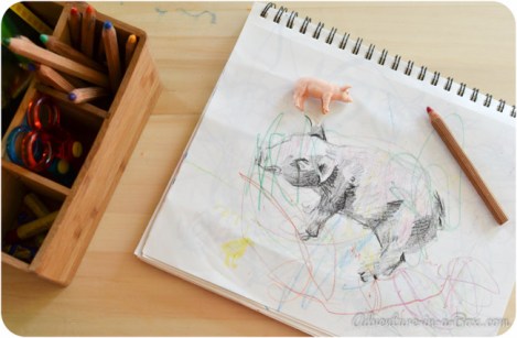 Creación a partir de la vida