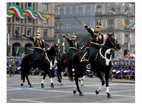 Los Dragones del H.C.M.