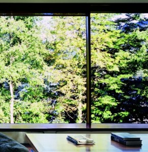 Con vista al bosque.