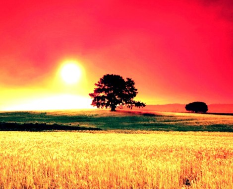 IMG_20151202_101155.jpg image