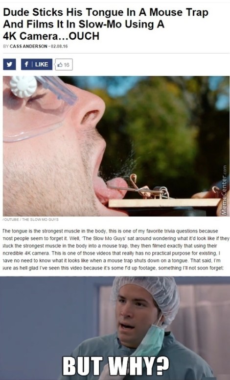 85638118-1c9e-4a42-990b-2375bb90db5b.jpg image