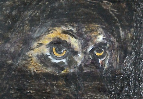 IMG_20160208_185026.jpg image