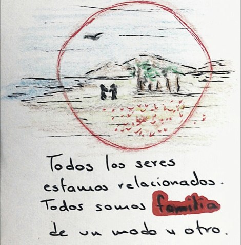 wp-1455842512113 image