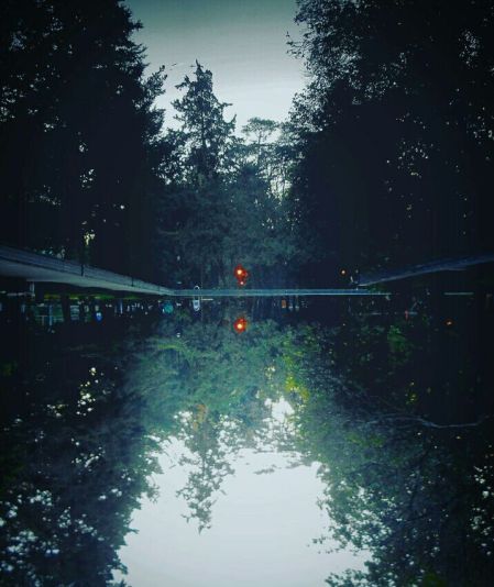 captura 04 01 2017 111856 1