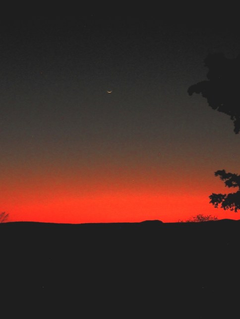 constelación_171116_074746 culiacan.jpg